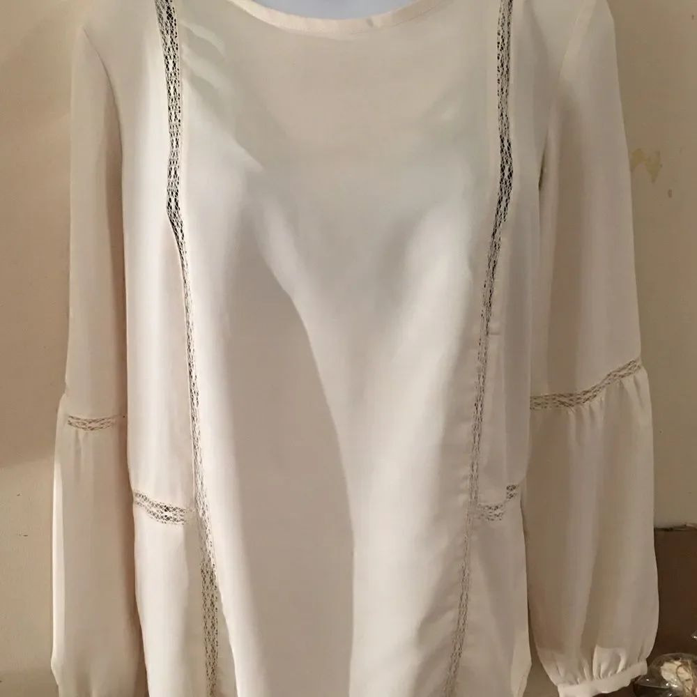 LOFT Anne Taylor Long Sleeve Sheer Top